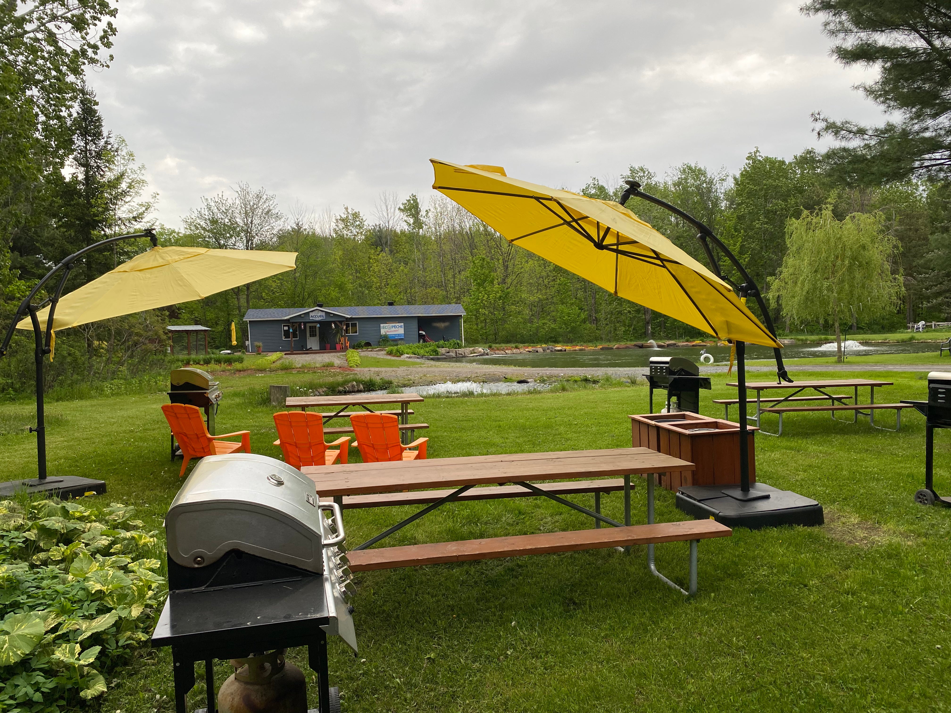 Combo Pêche/BBQ Propane